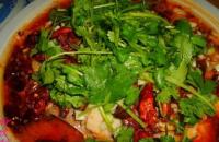 ˮ���~Ƭ������