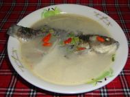 �ҳ����a�~���Ϝ��������D�Ĳ��E