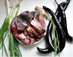 ���ӠF�T�~�������D�Ĳ��E