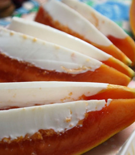 ţ��ľ�σ�������