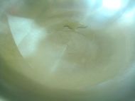 麻香玉米餅的做法圖文步驟