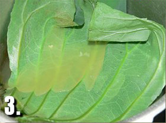 ���~����������D�Ĳ��E