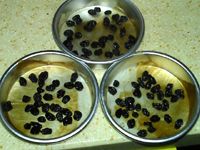 獼猴桃酒乳酪蛋糕的做法圖文步驟