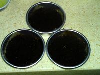 獼猴桃酒乳酪蛋糕的做法圖文步驟