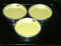 獼猴桃酒乳酪蛋糕的做法圖文步驟