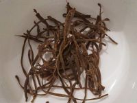 �S����ĩ̫ꖵ��������D�Ĳ��E