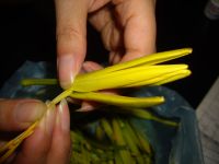 �Ͱ��S���˵������D�Ĳ��E