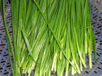 �²˟�ǧ���������D�Ĳ��E