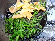 �⽷�ɶ����������D�Ĳ��E