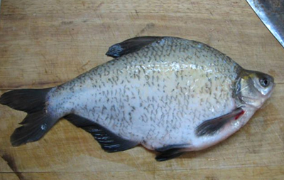 北京香辣烤魚(yú)的做法圖文步驟