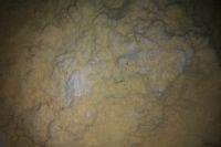 �S����������D�Ĳ��E