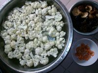 ���Ҭ�˻��������D�Ĳ��E