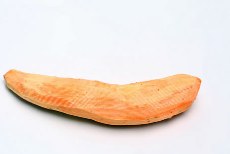 �t�������������D�Ĳ��E