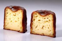 ����¶������