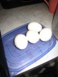 �u�����t���������D�Ĳ��E