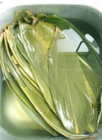 �����Źǵ������D�Ĳ��E