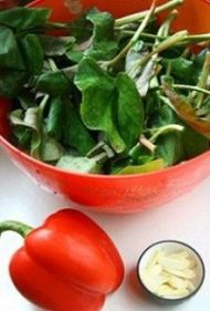 �����~�Ȳݵ������D�Ĳ��E