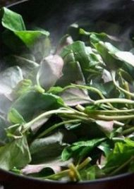 �����~�Ȳݵ������D�Ĳ��E