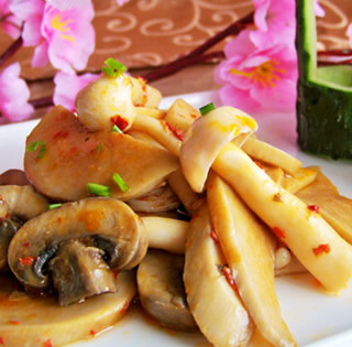 �������u�ZȺ��������