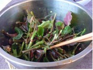 �����~�Ȳݵ������D�Ĳ��E