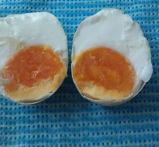 �óԵ�������������