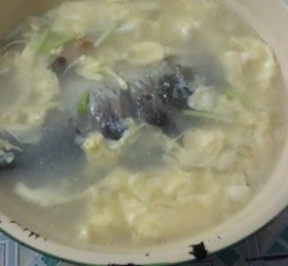 �a�~�u����������