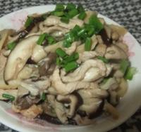 �p����Ƭ������