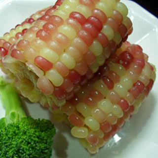 �������׵�����