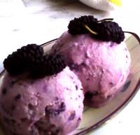 ɣ�����ұ����������