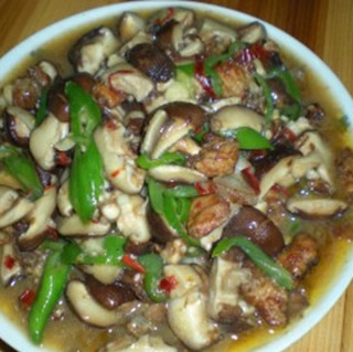 �㹽���������