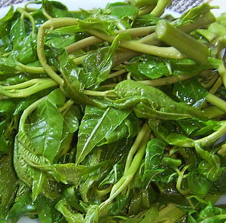 �}�n�㴻������