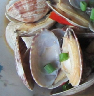 �u�����������