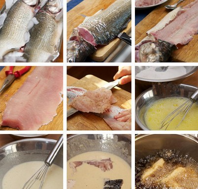 ը�~��l�������D�Ĳ��E