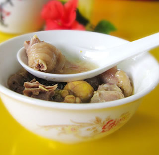 田七燉雞的做法 田七燉雞的做法