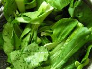 �����z��������D�Ĳ��E