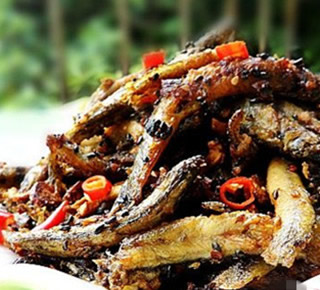 干煸泥鰍的做法 干煸泥鰍的做法