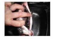 ���������a�~���������D�Ĳ��E