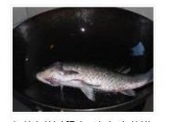 ���������a�~���������D�Ĳ��E