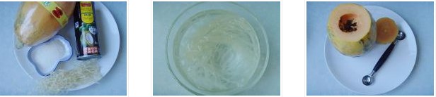 木瓜椰奶凍的做法圖文步驟