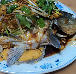 ɳ�����a�~������