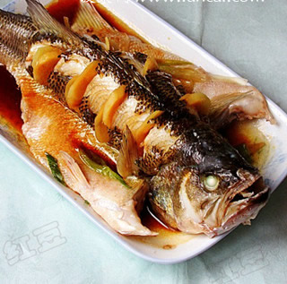 ��֭���|�~������