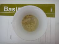 �t�����ǰl(f��)��������D�Ĳ��E