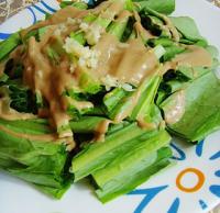 ֥���u�����˵�����