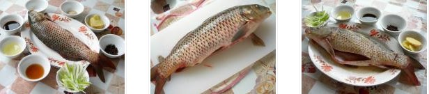 �������~�������D�Ĳ��E