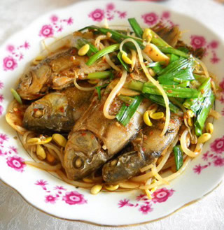 ��ѿ���a�~������