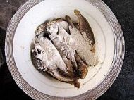 ����~�N����������D�Ĳ��E