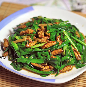 �²˳��QӼ������