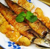 ���˿��ﵶ�~������