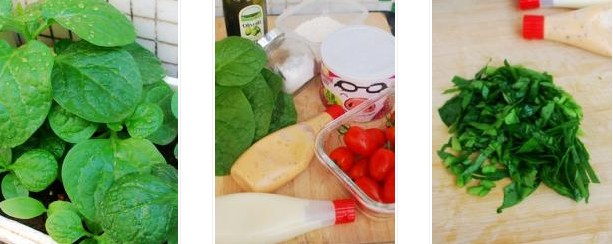 木耳菜煎餅的做法圖文步驟