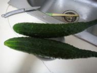 ��ɫ�u����������D�Ĳ��E